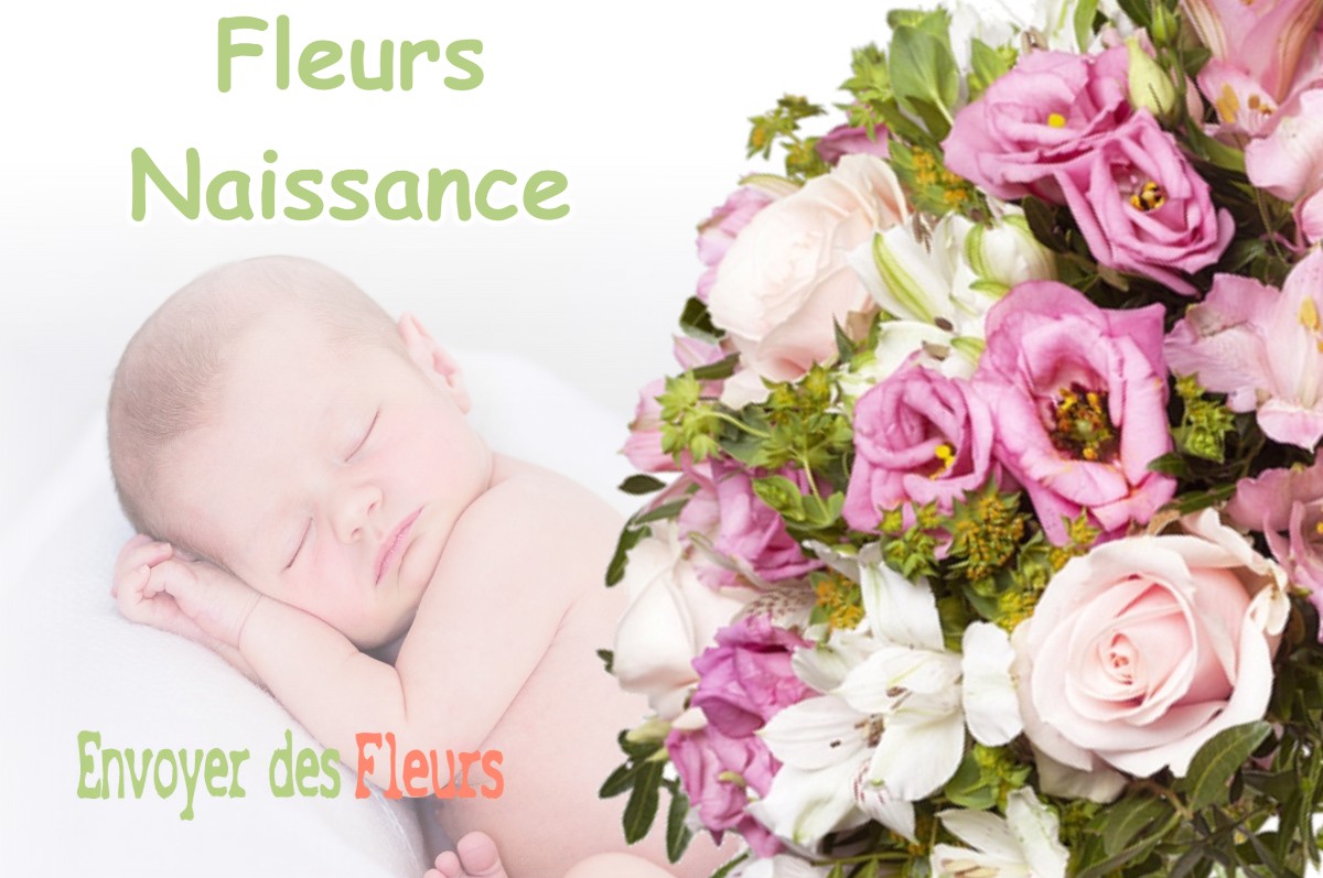 lIVRAISON FLEURS NAISSANCE à AIGLEPIERRE